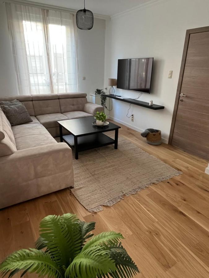 ヘント Fds Cosy Houseヴィラ エクステリア 写真